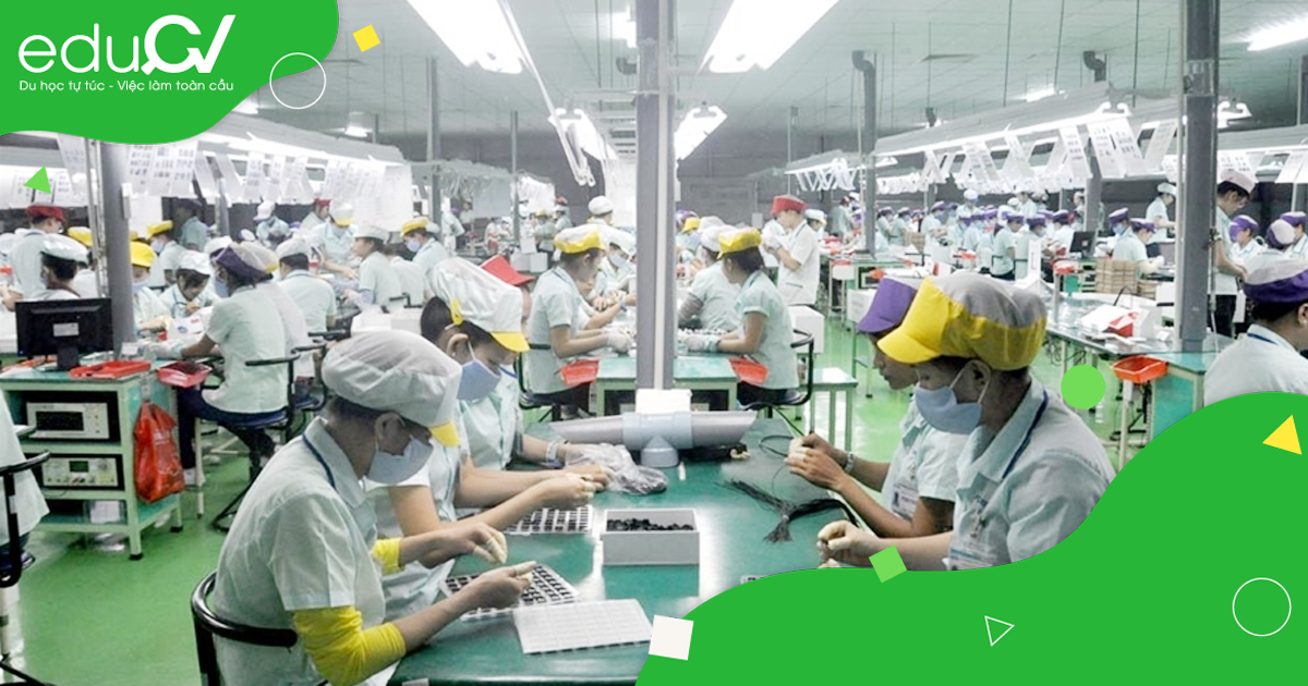 Giải đáp tất tần tật về xuất khẩu Đài Loan mới nhất